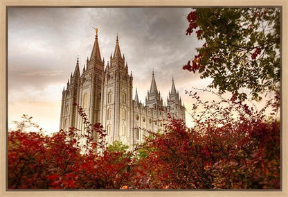Salt Lake Autumn Trees Gallery Wrap