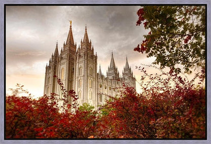 Salt Lake Autumn Trees Gallery Wrap