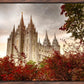 Salt Lake Autumn Trees