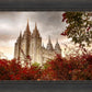 Salt Lake Autumn Trees