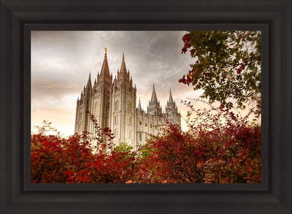 Salt Lake Autumn Trees