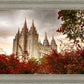 Salt Lake Autumn Trees