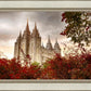 Salt Lake Autumn Trees
