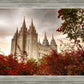 Salt Lake Autumn Trees