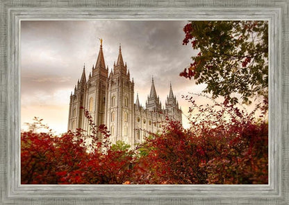 Salt Lake Autumn Trees