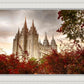Salt Lake Autumn Trees
