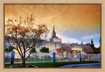 Fresno 03 Gallery Wrap