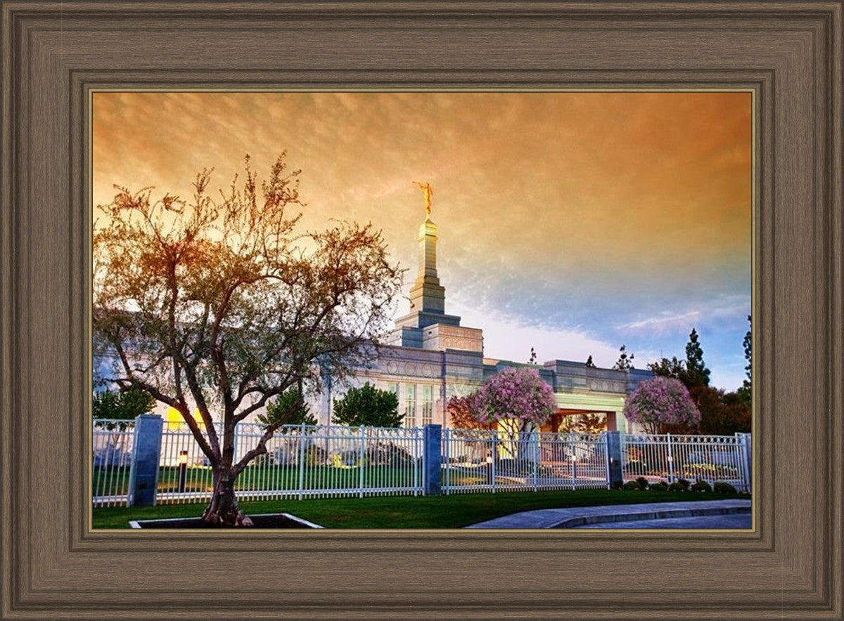 Fresno 03