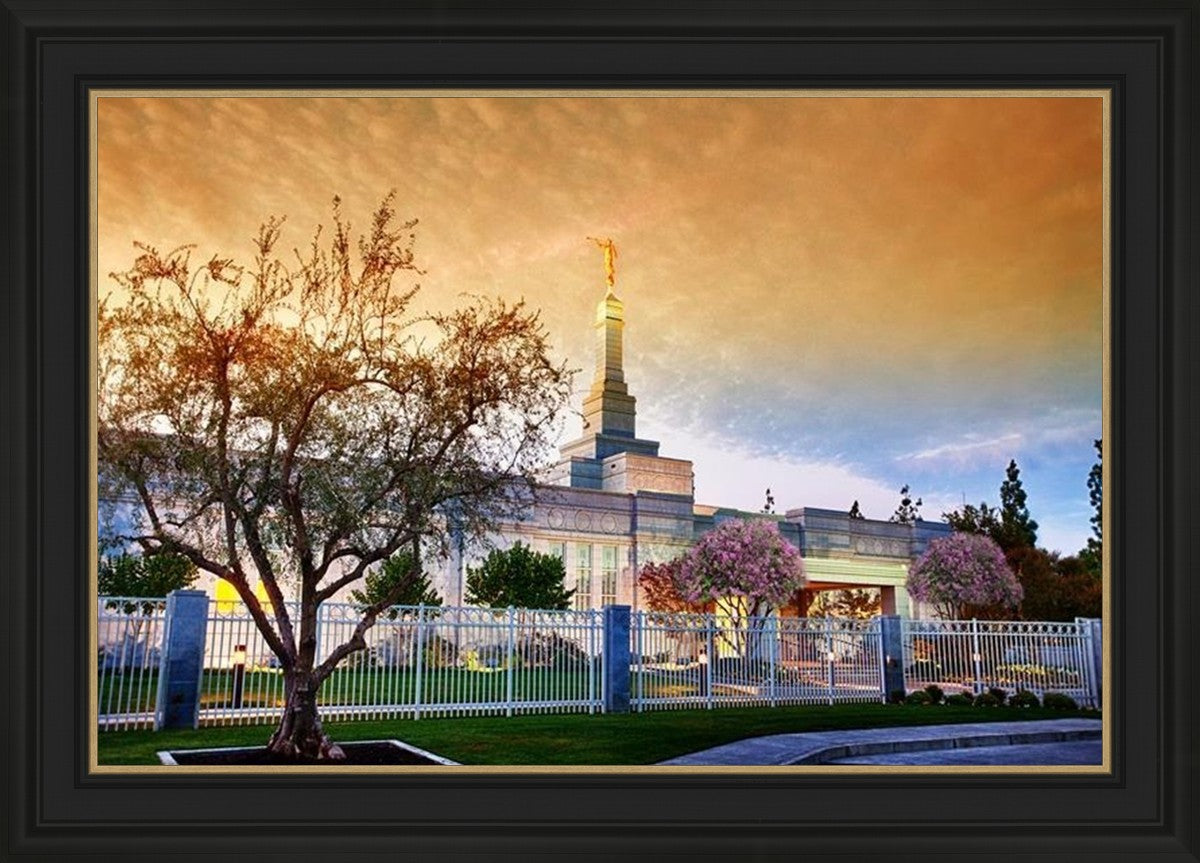 Fresno 03