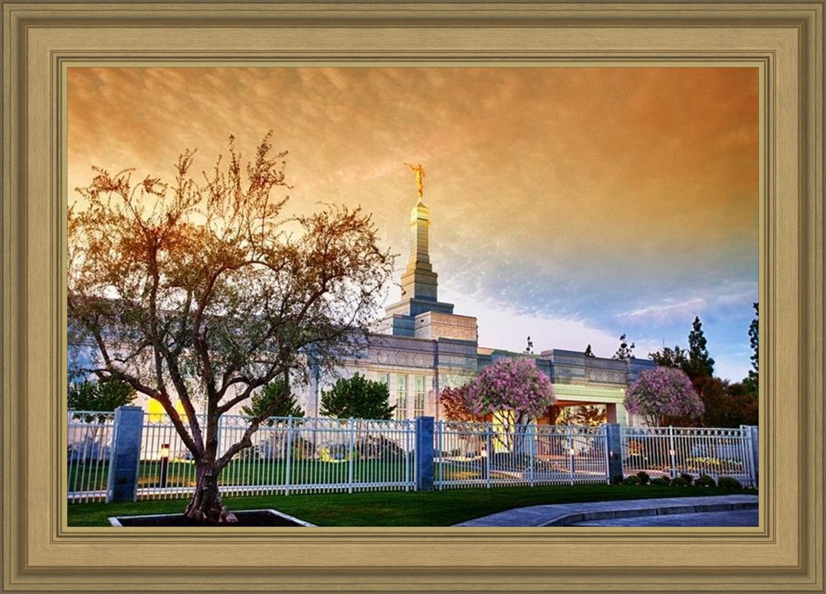 Fresno 03
