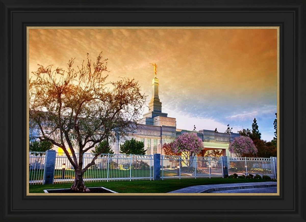 Fresno 03