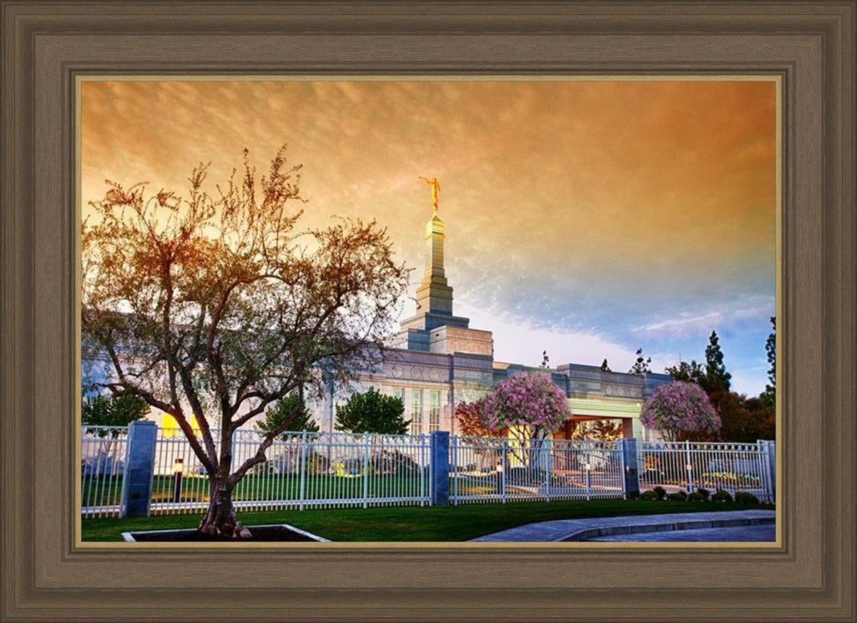 Fresno 03
