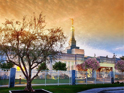 Fresno 03 Gallery Wrap