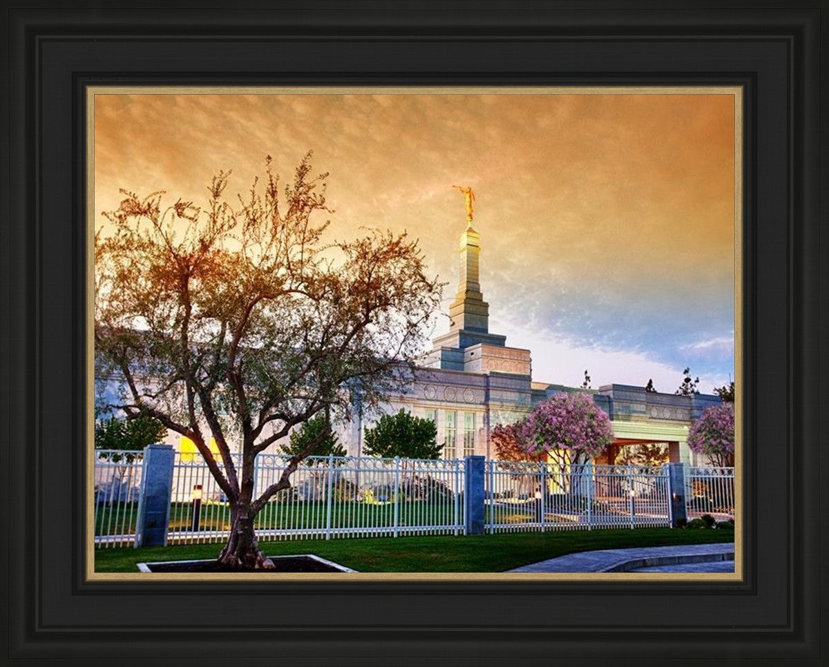 Fresno 03