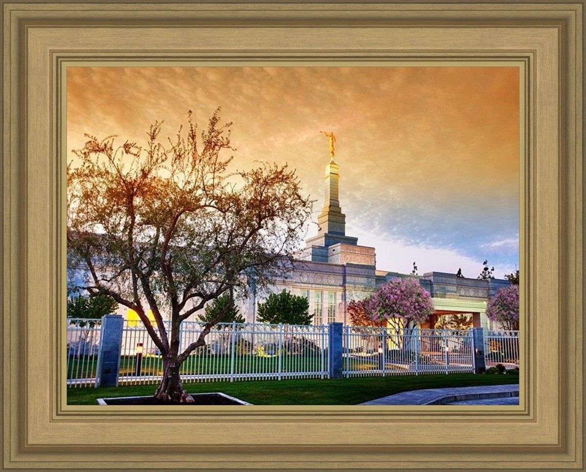 Fresno 03