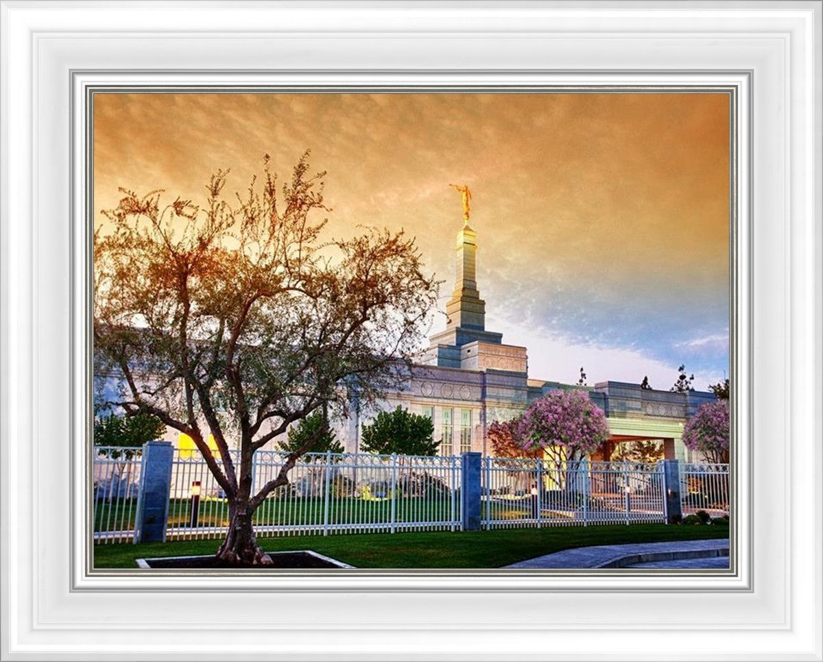 Fresno 03