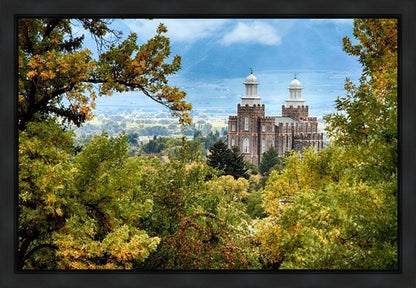 Logan Through the Trees Gallery Wrap