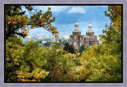 Logan Through the Trees Gallery Wrap