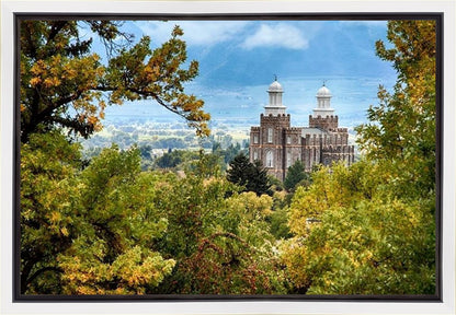 Logan Through the Trees Gallery Wrap