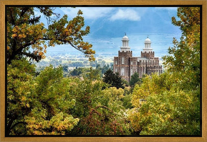 Logan Through the Trees Gallery Wrap