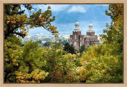 Logan Through the Trees Gallery Wrap