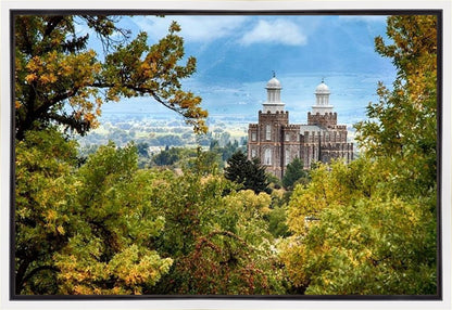 Logan Through the Trees Gallery Wrap