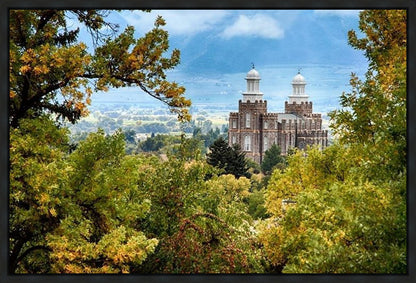 Logan Through the Trees Gallery Wrap