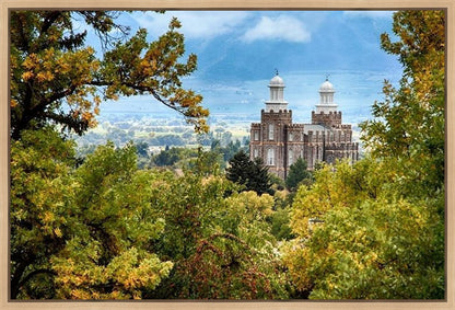 Logan Through the Trees Gallery Wrap