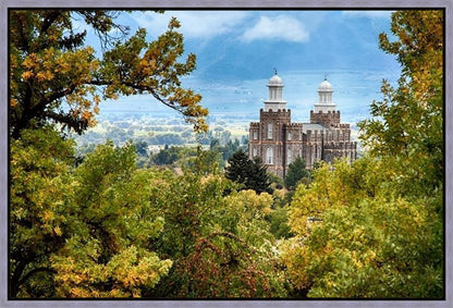 Logan Through the Trees Gallery Wrap