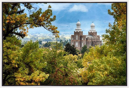 Logan Through the Trees Gallery Wrap