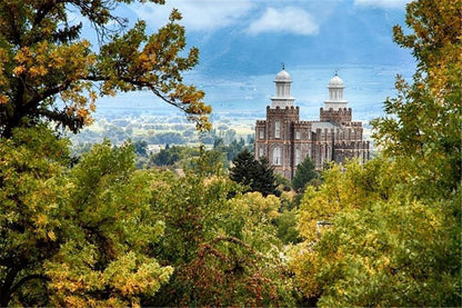 Logan Through the Trees Gallery Wrap