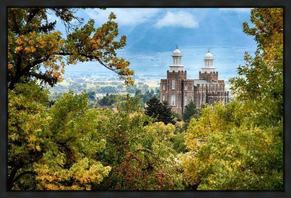 Logan Through the Trees Gallery Wrap