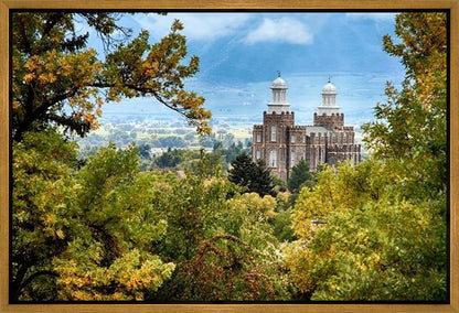 Logan Through the Trees Gallery Wrap