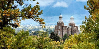 Logan Through the Trees Gallery Wrap