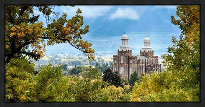 Logan Through the Trees Gallery Wrap