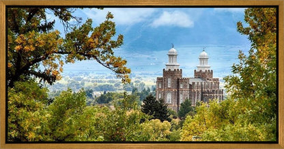 Logan Through the Trees Gallery Wrap