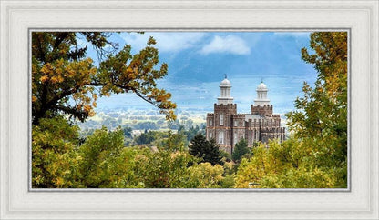 Logan Through the Trees