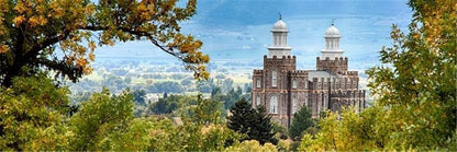 Logan Through the Trees Gallery Wrap