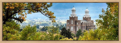 Logan Through the Trees Gallery Wrap