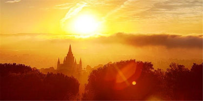 Oakland 02 Gallery Wrap