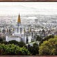 Oakland 07