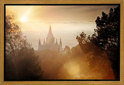 Oakland 11 Gallery Wrap