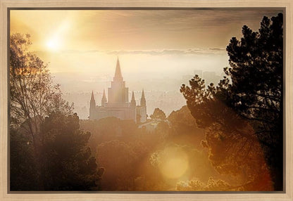 Oakland 11 Gallery Wrap