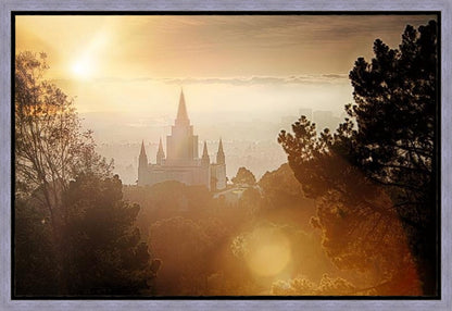 Oakland 11 Gallery Wrap