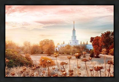 Sacramento 06 Gallery Wrap