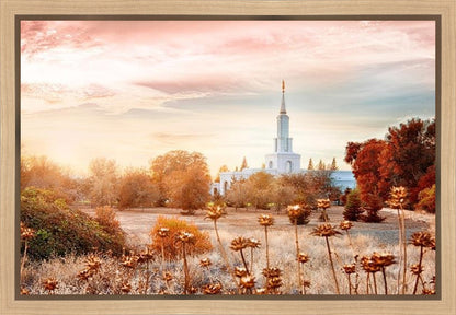 Sacramento 06 Gallery Wrap