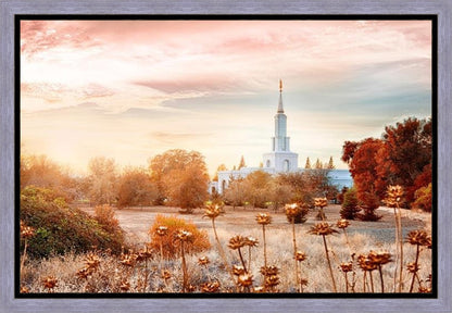 Sacramento 06 Gallery Wrap