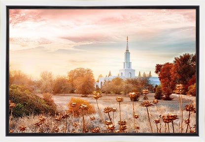 Sacramento 06 Gallery Wrap