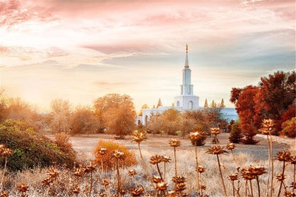 Sacramento 06 Gallery Wrap