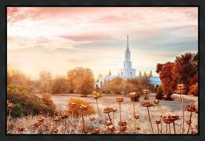 Sacramento 06 Gallery Wrap